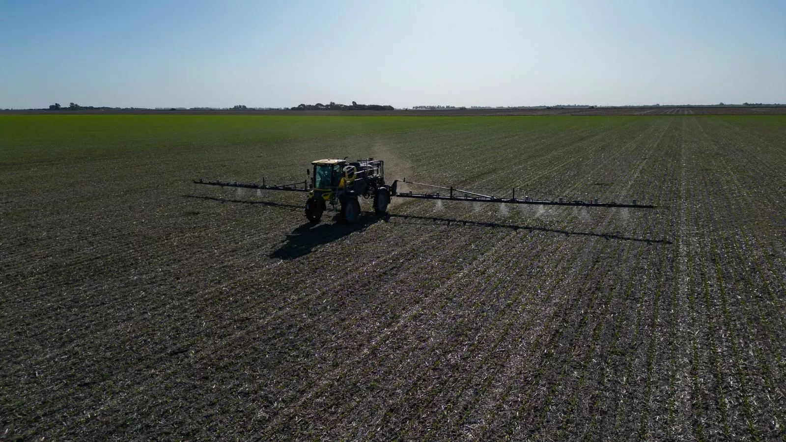 Sprai pulverizando en campo